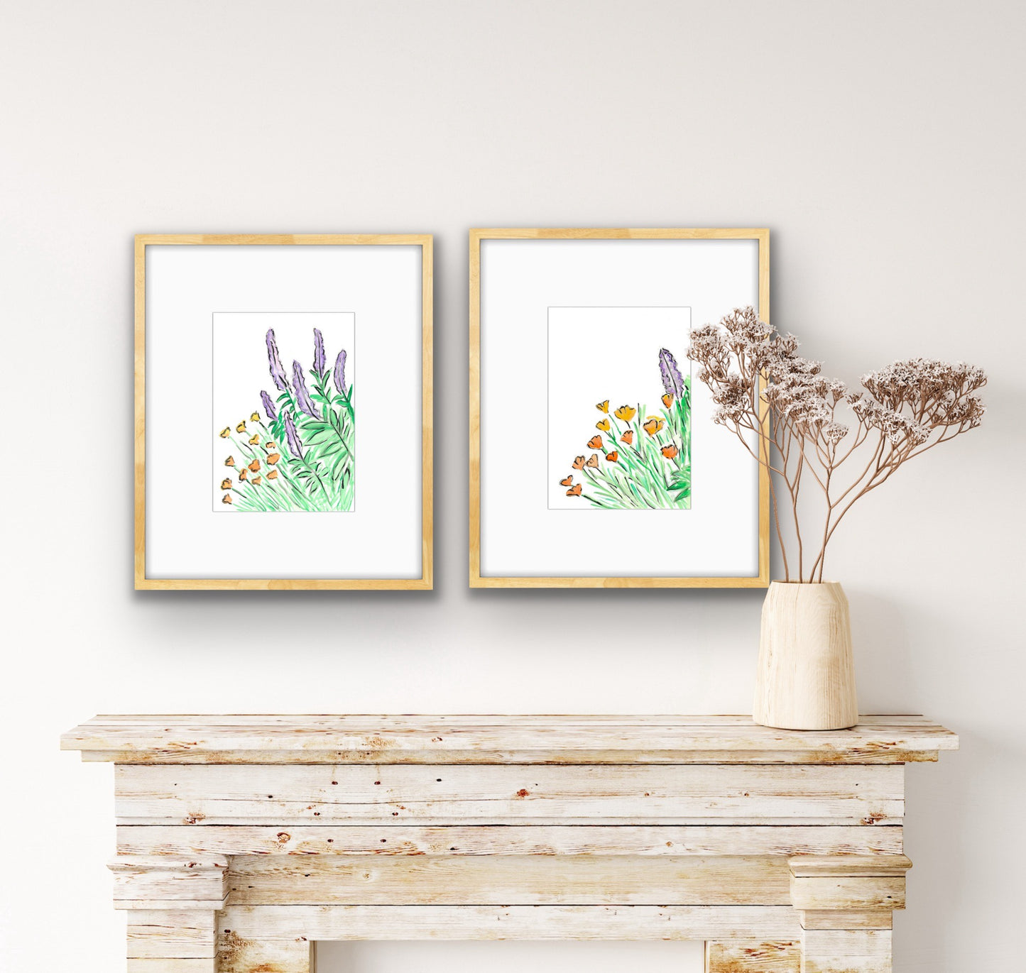 Salvia and California Poppy 2