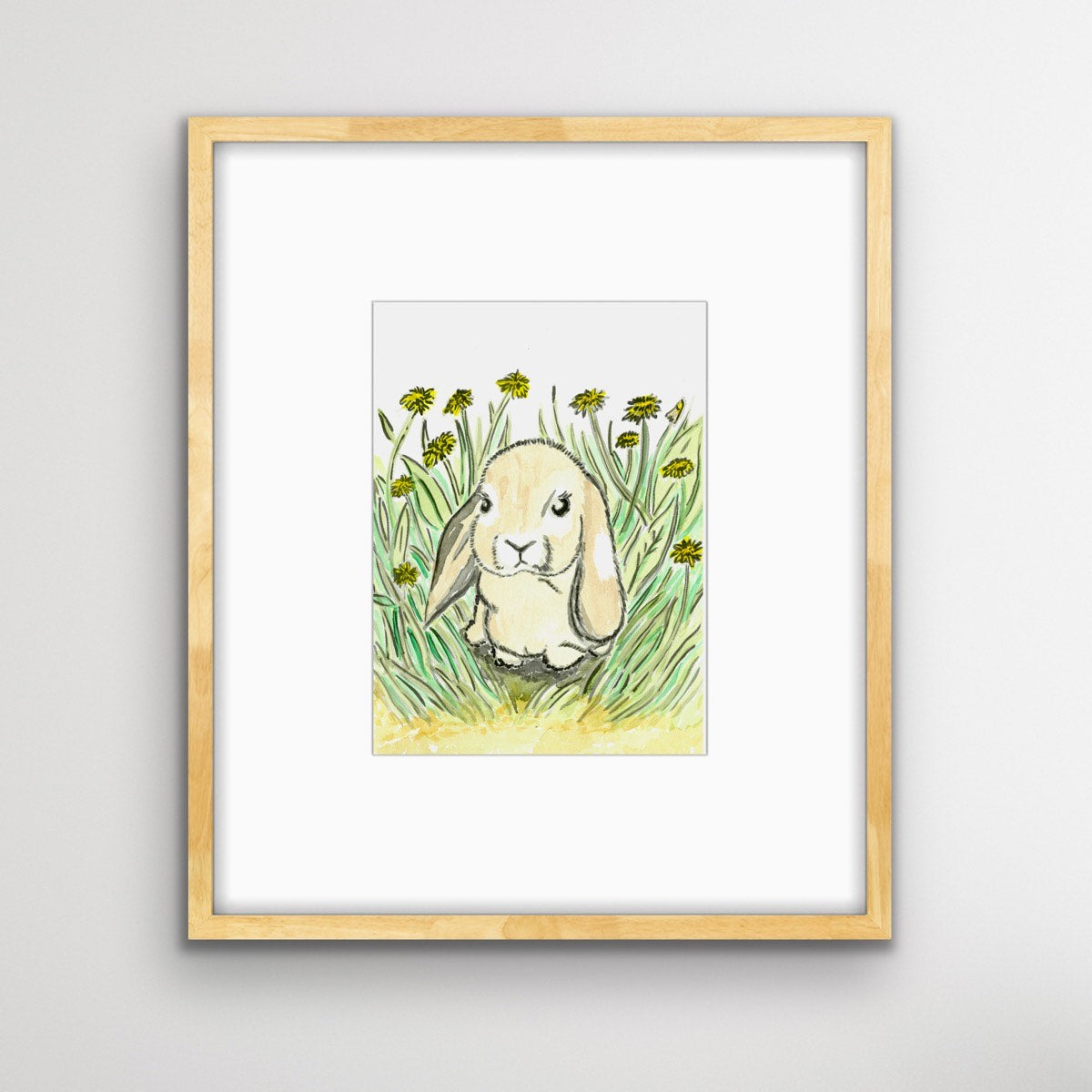 Mini Lop Earred Rabbit