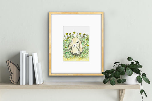 Mini Lop Earred Rabbit