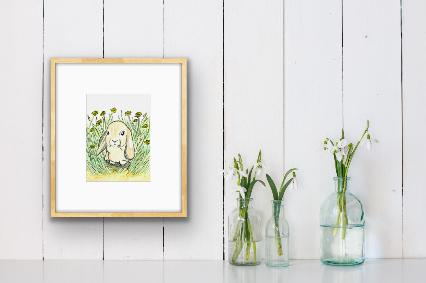 Mini Lop Earred Rabbit