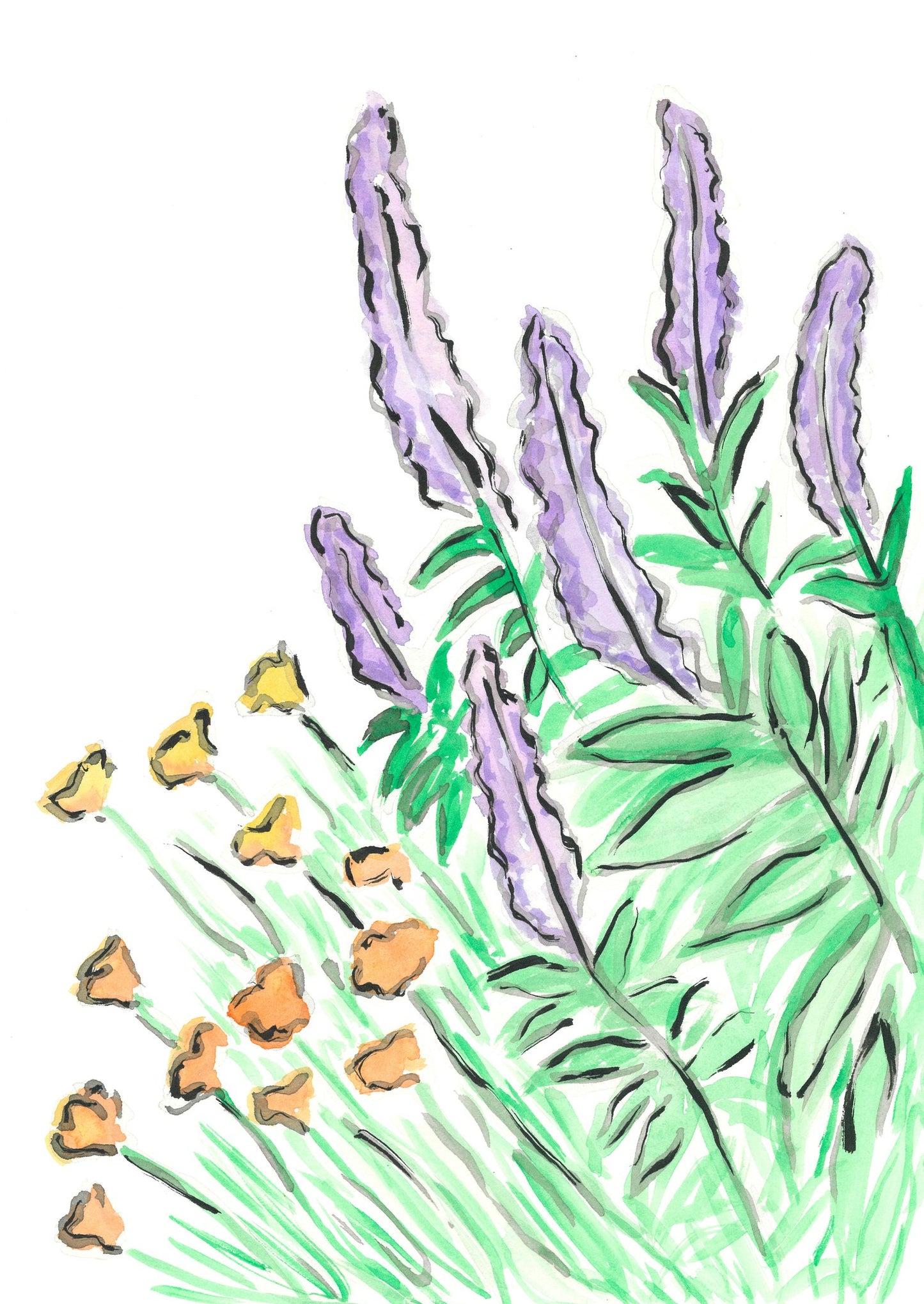 Salvia and Californian Poppy- Original Artwork